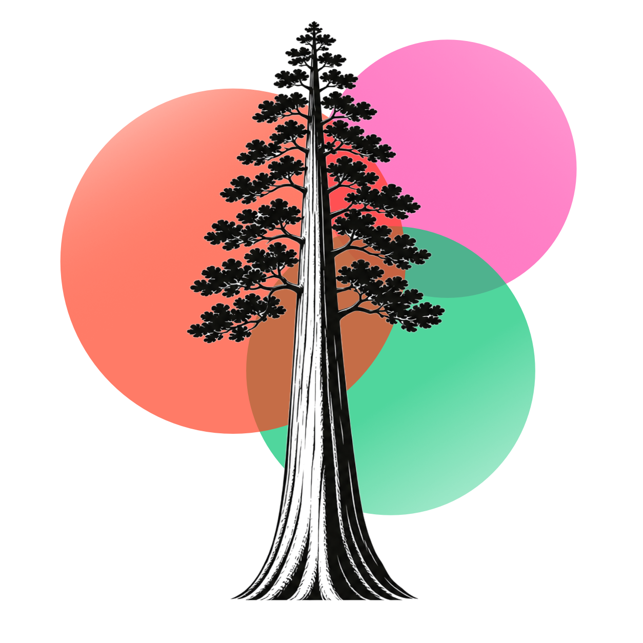 Sequoia Studio Logo
